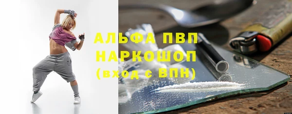 стафф Вязьма