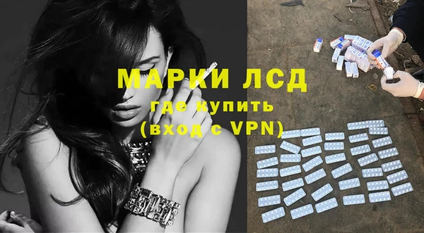 стафф Вязьма