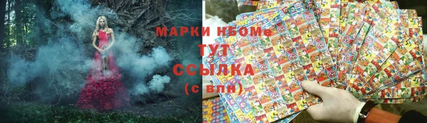 стаф Вязники