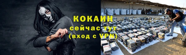 стаф Вязники