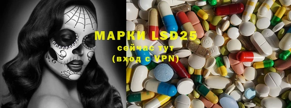 стафф Вязьма